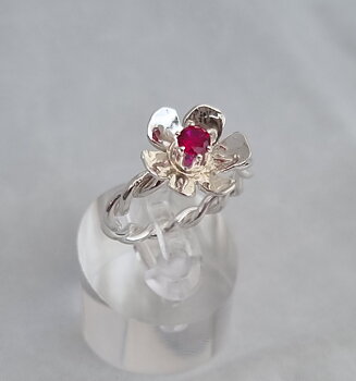 Odelali rödrosa stl 17 