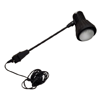 Lampa