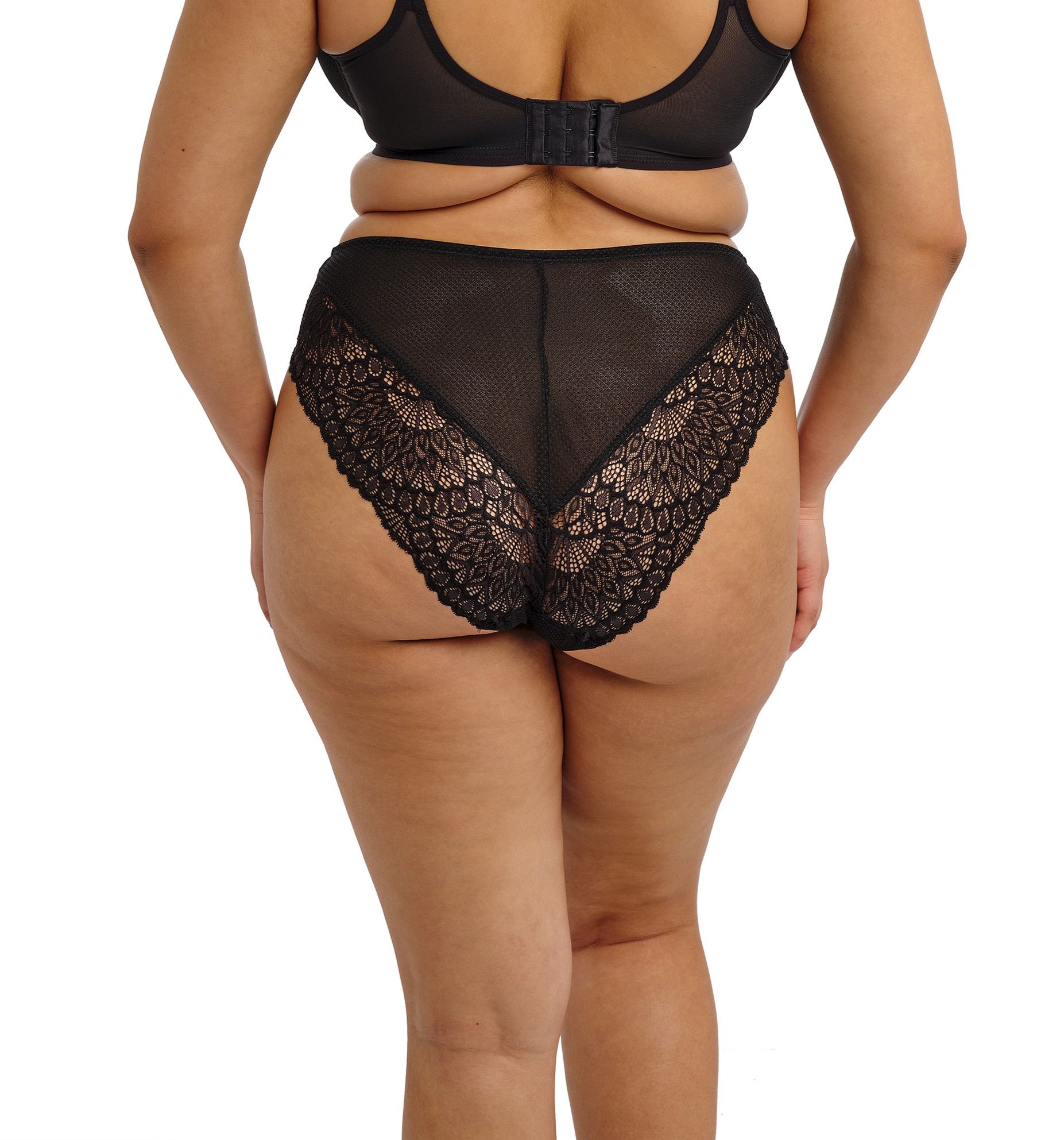 Elomi Tiernie Brief