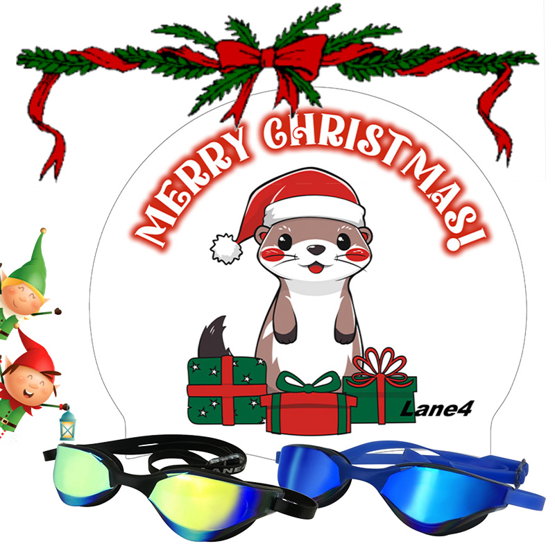 Sim pack containing a silicone swim cap with Christmas motif. The motif depicting Chip and Dale squirrel.