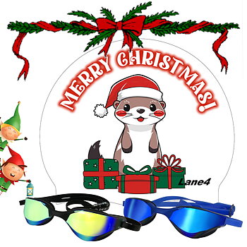 Sim pack containing a silicone swim cap with Christmas motif. The motif depicting Chip and Dale squirrel.