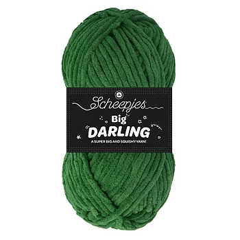 Scheepjes Big Darling Pickle 420