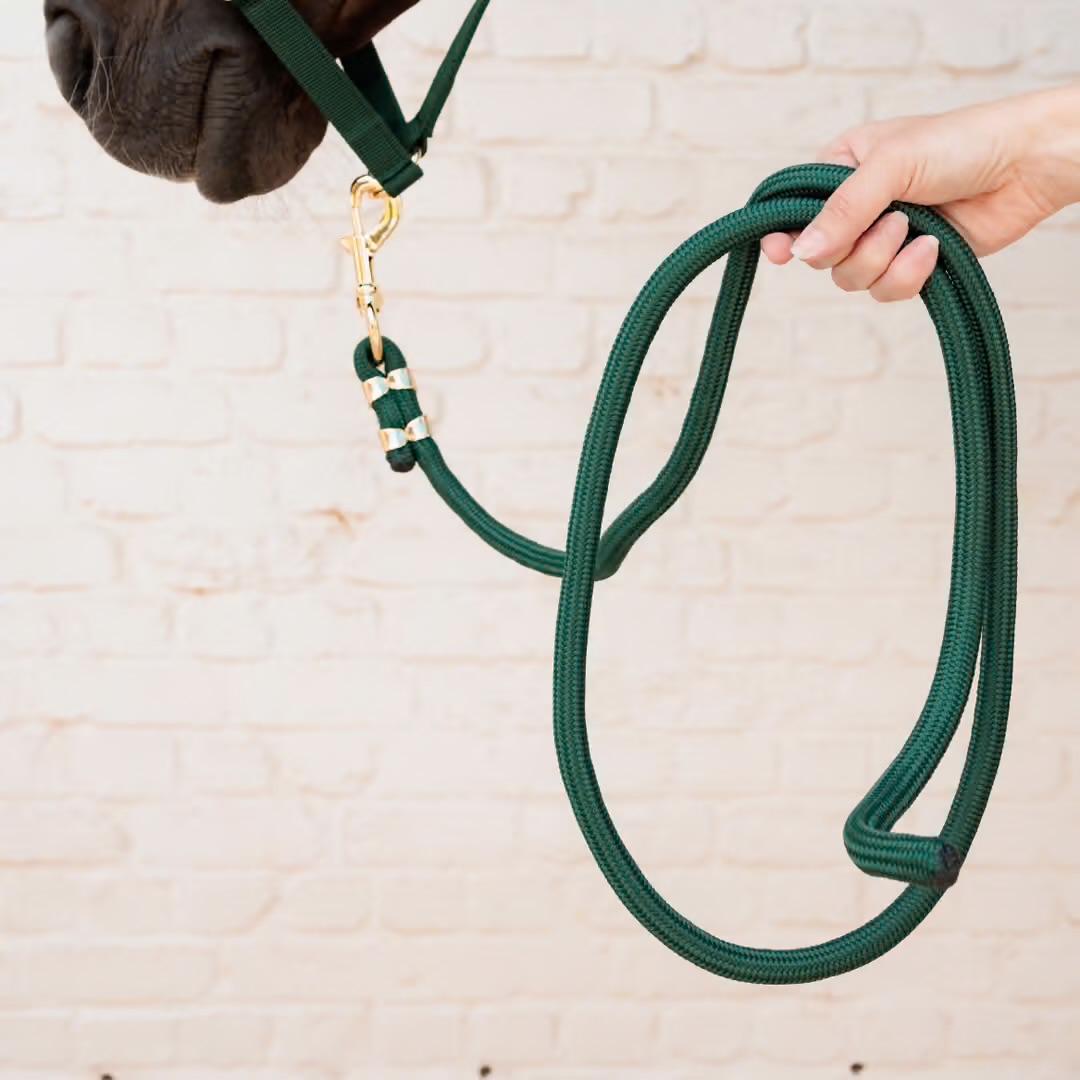 KENTUCKY  Grimskaft 2 m Pine Green  - 2