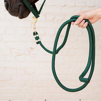 KENTUCKY  Grimskaft 2 m Pine Green 