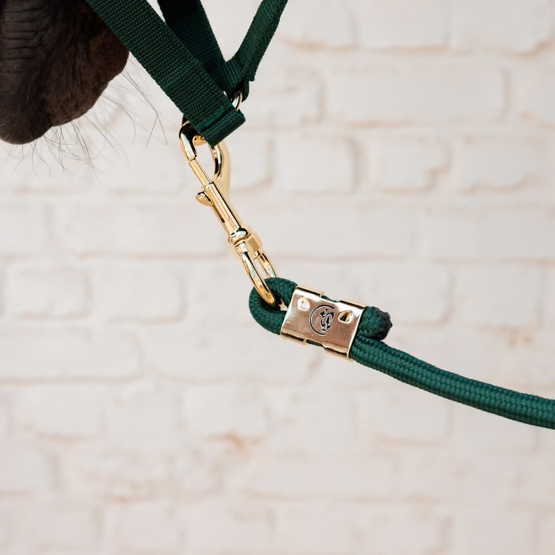 KENTUCKY  Grimskaft 2 m Pine Green  - 3