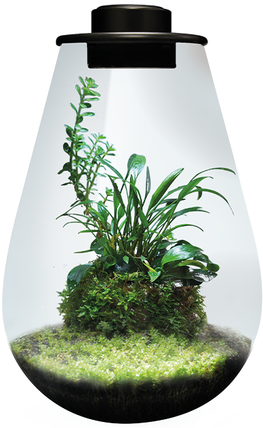 BioArt Drop 285 Svart 5,1 liter