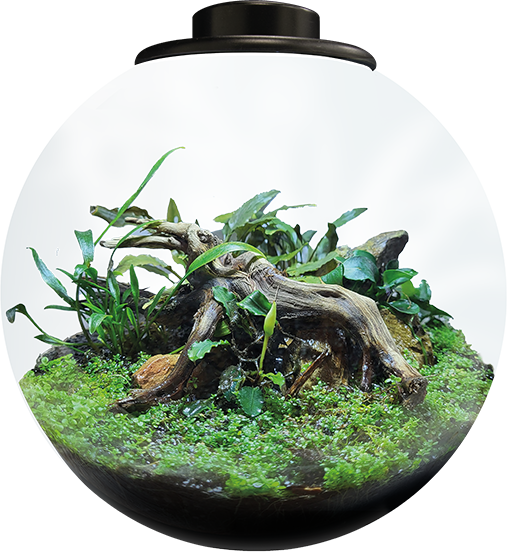 BioArt Skål 225 Svart 5,1 liter