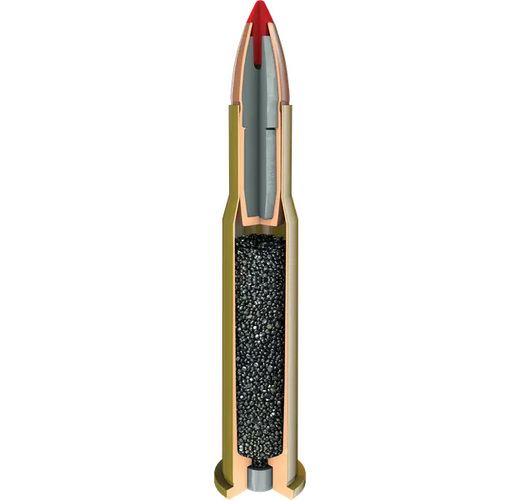Hornady Leverevolution® FTX® .45-70 Govt 325gr - 3