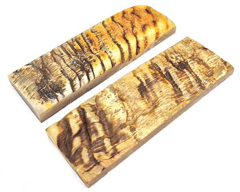 Sheep Horn skalor Mix-7