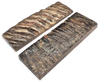 Sheep Horn skalor Mix-8