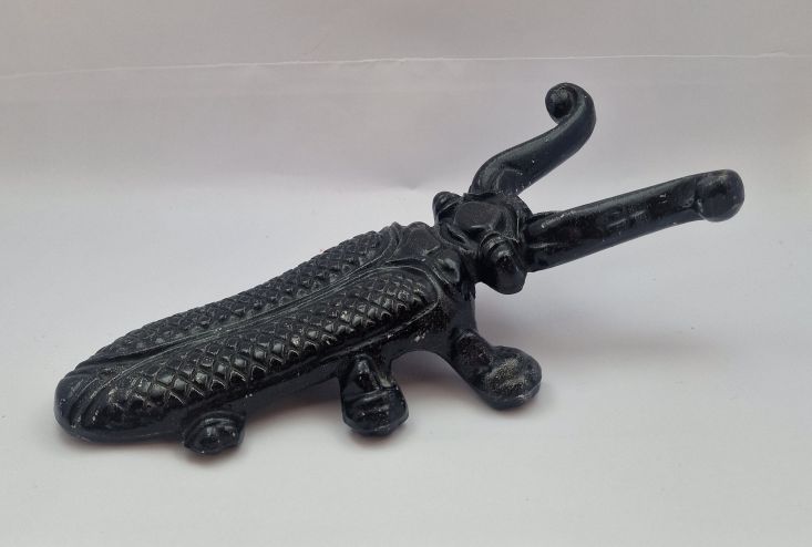 Bootjack beetle