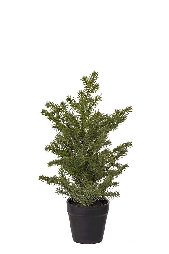 Potted fir tree - 35 cm