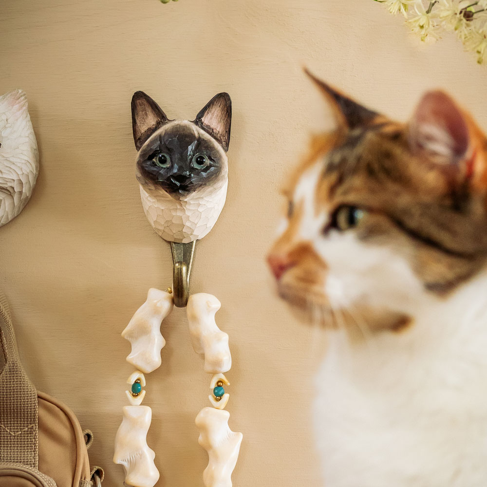 Patère Chat Siamois en mise en scène, fixée au mur avec des éléments en arrière-plan.