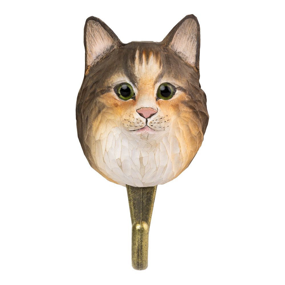 DecoBird Chat norvégien vu de face, avec sa fourrure faciale dense et ses teintes brun-blanc chaleureuses.