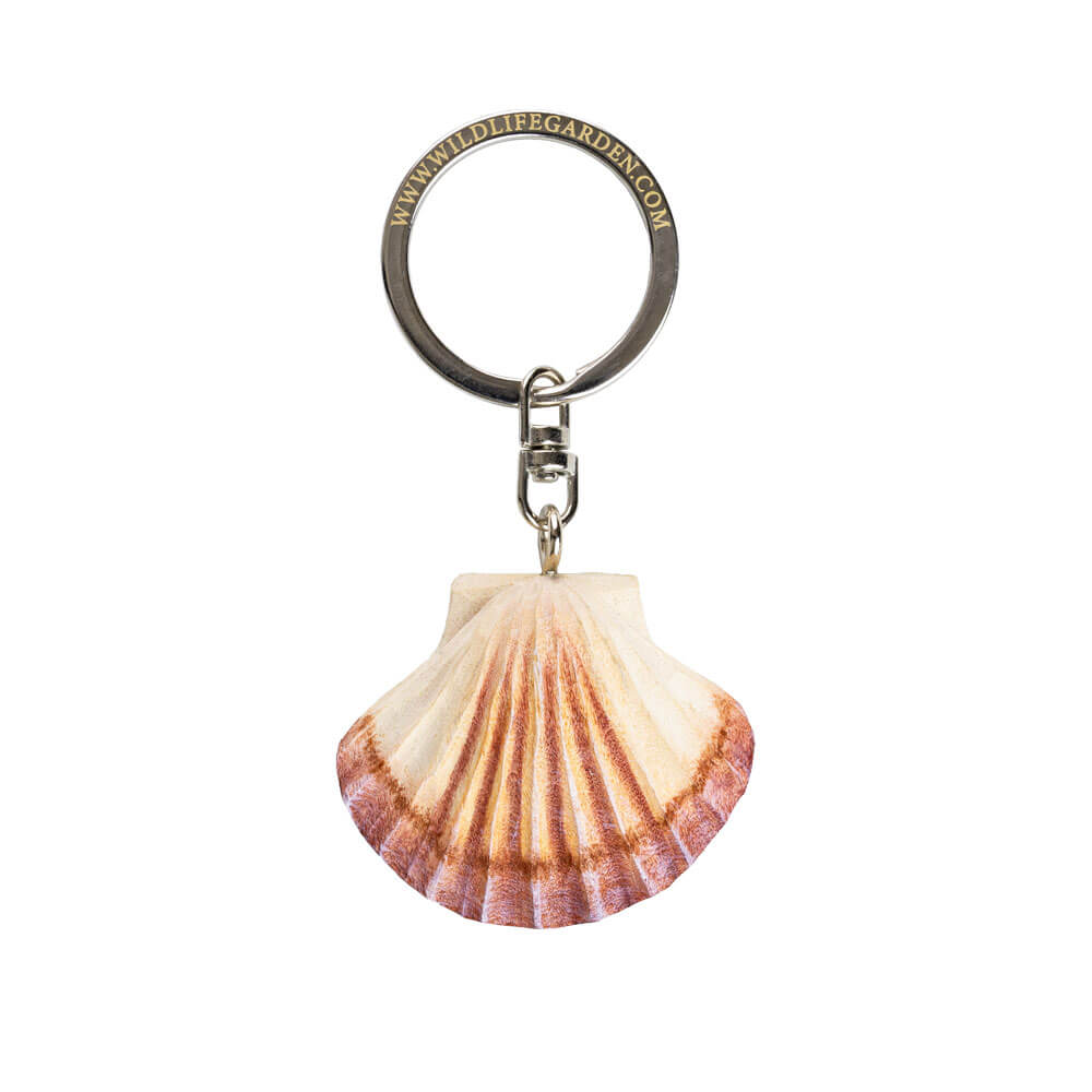 Porte-clés Pétoncle avec une coquille peinte à la main sur fond blanc.