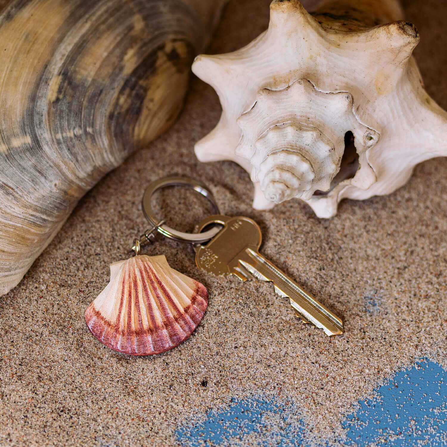 Schlüsselanhänger Kammuschel auf Sand neben Muscheln, in Nahaufnahme dargestellt.