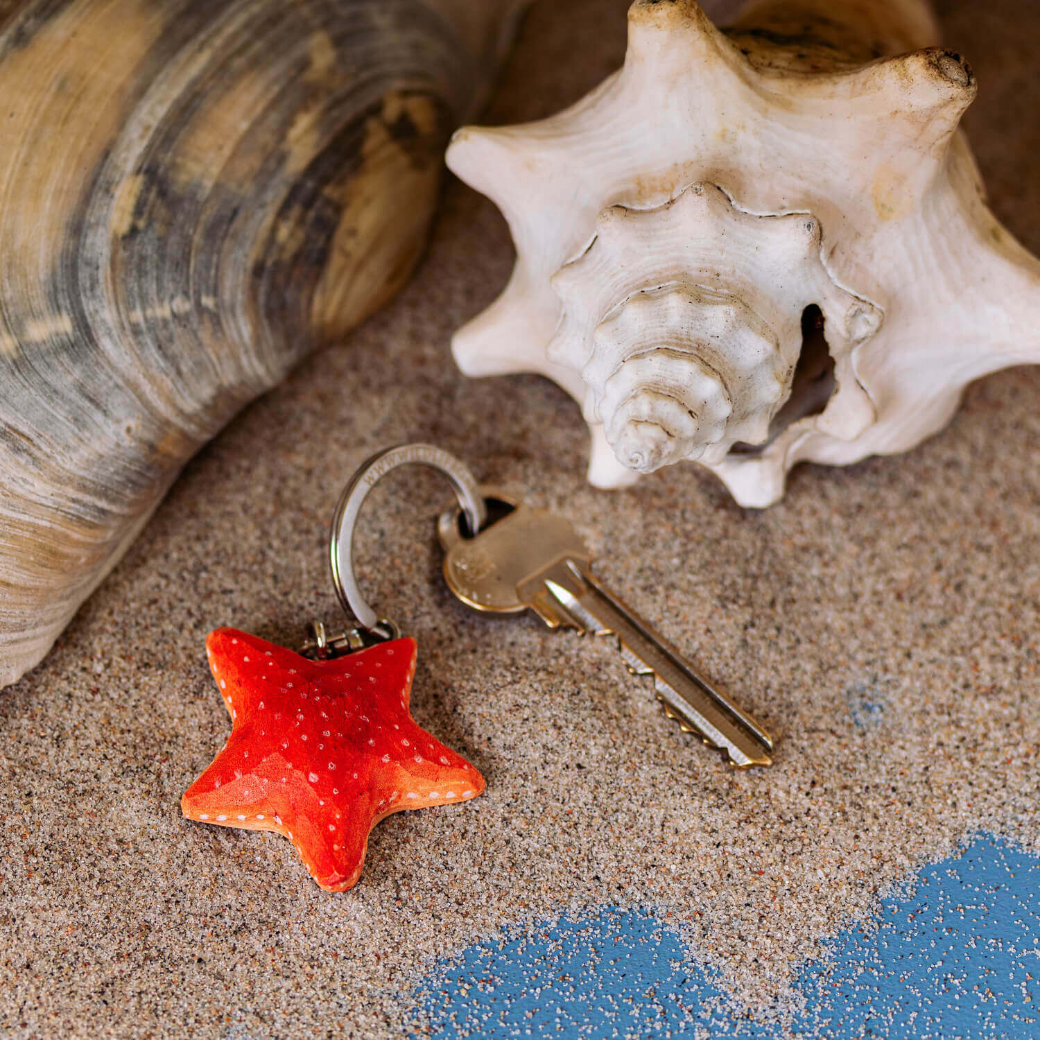 Porte-clés Étoile de mer posé sur du sable parmi des coquillages.