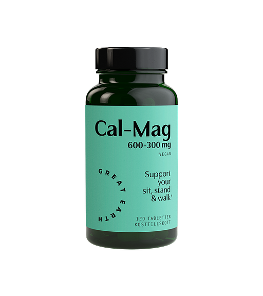 Cal-Mag 600-300 120 tab.