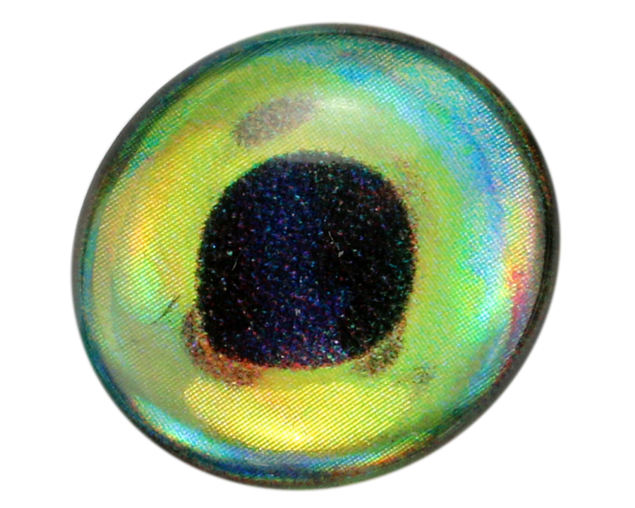 Epoxy 3D Fish eyes - Dorado - 2