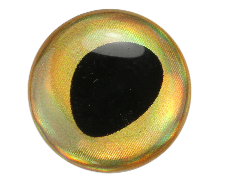 Epoxy 3D Fish eyes - Rainbow Gold - 2