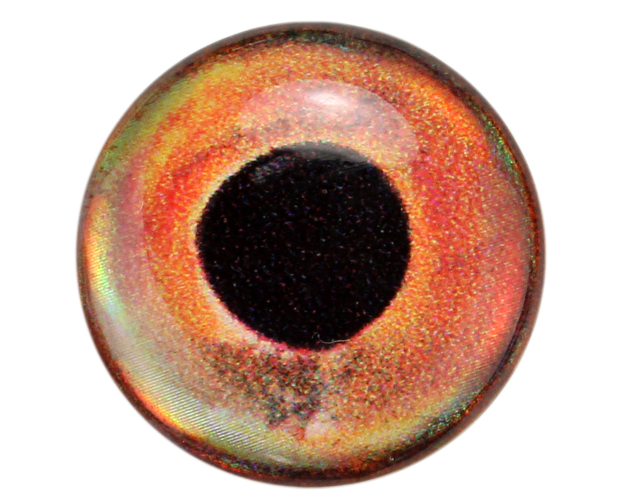 Epoxy 3D Fish eyes - Roach - 2