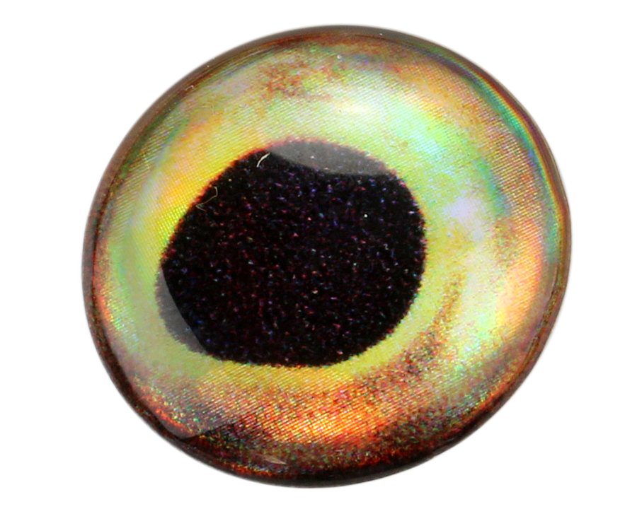 Epoxy 3D Fish eyes - Perch - 2