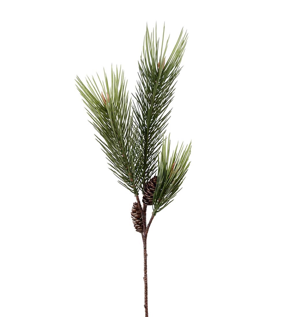 Tallkvist med kottar - 80 cm