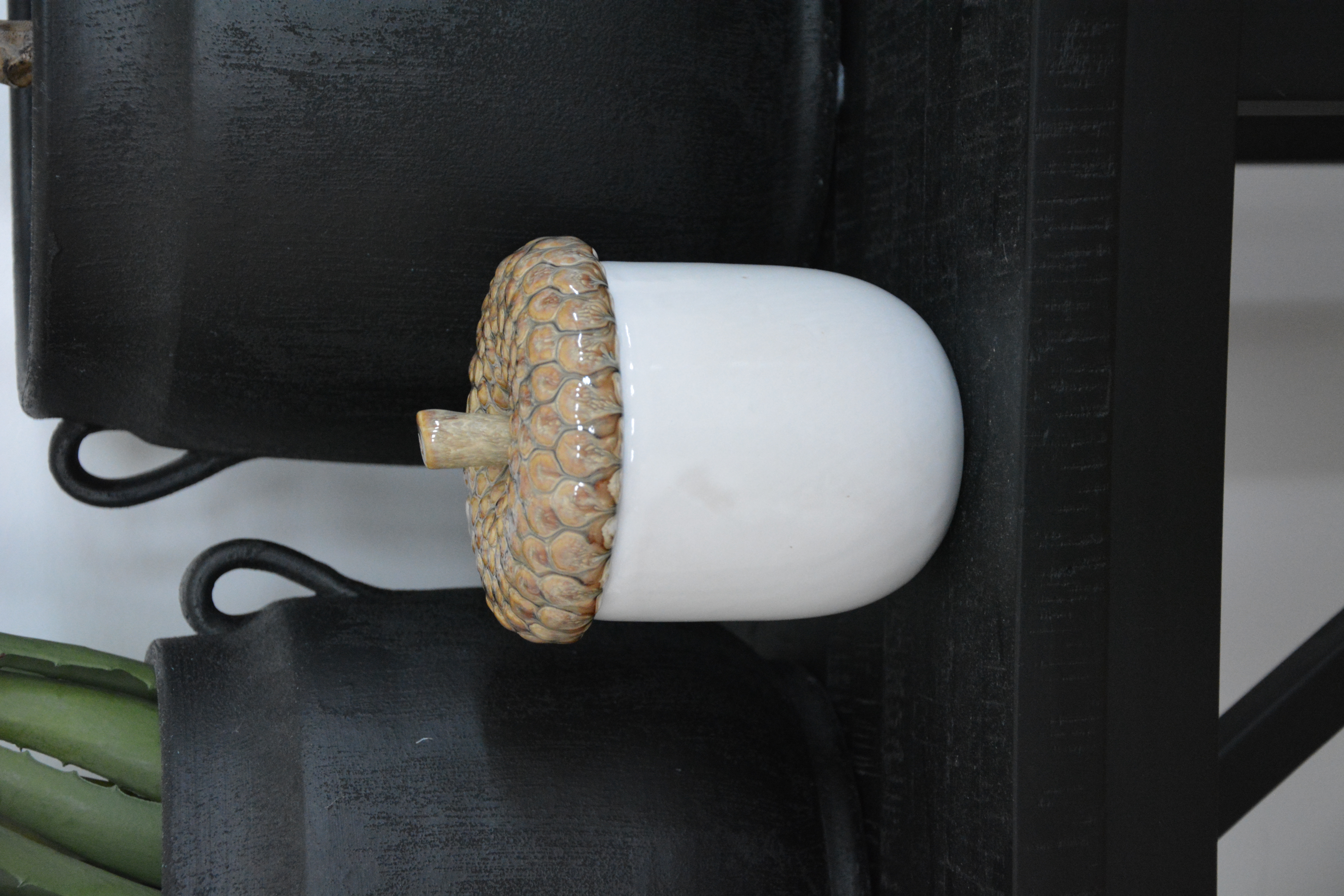 Burk med lock ekollon / kotte 16 cm beige / vit