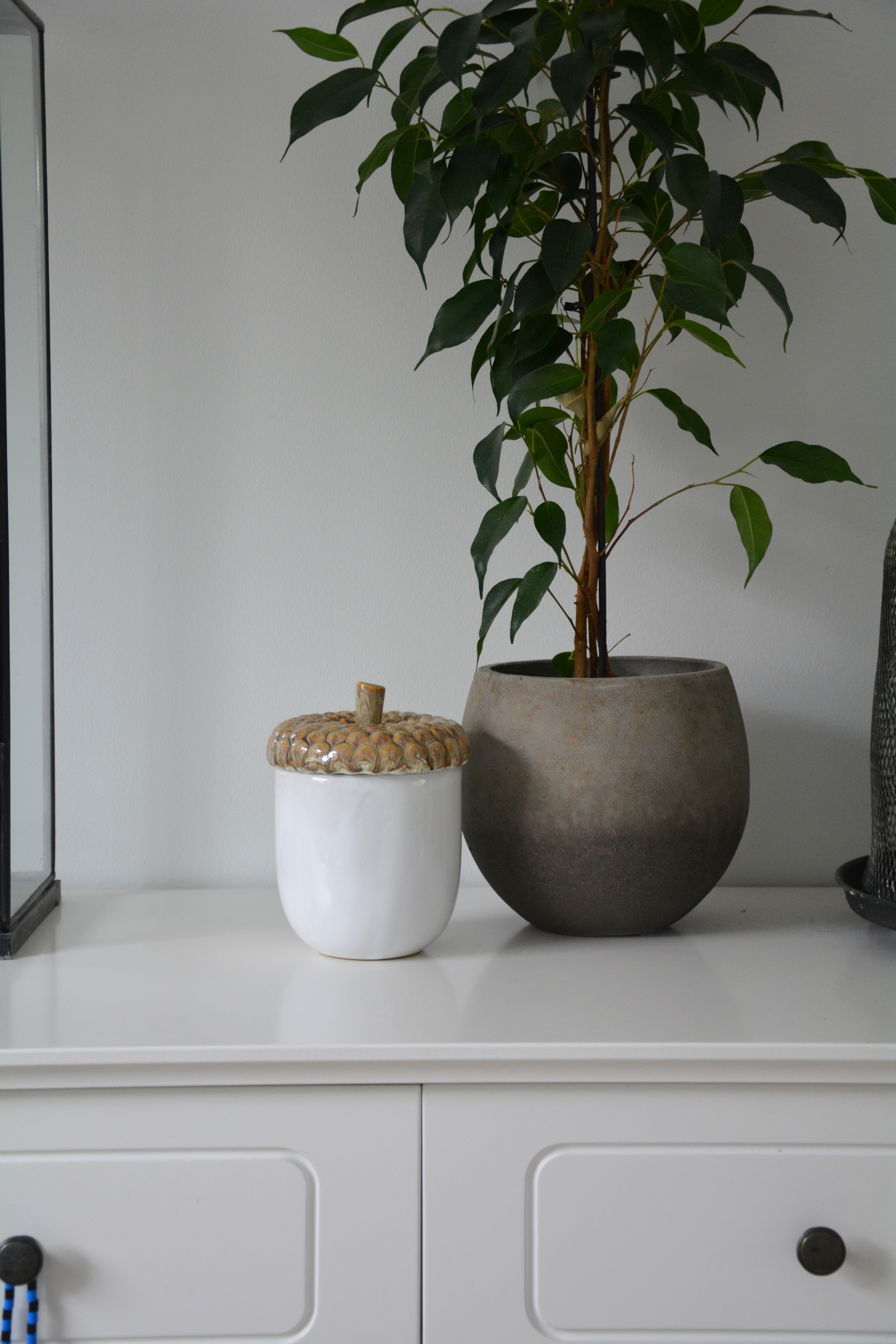 Burk med lock ekollon / kotte 16 cm beige / vit - 4