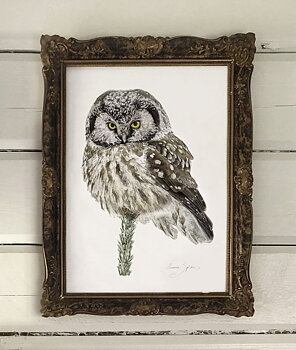 ART PRINT OWL  30x40