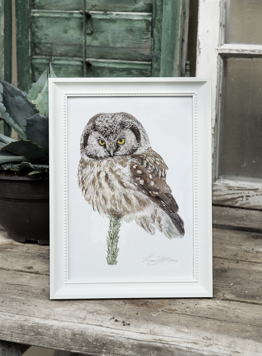 ART PRINT UGGLA 21x30