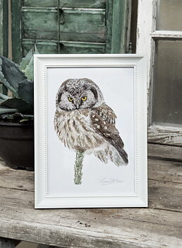 ART PRINT OWL 21x30