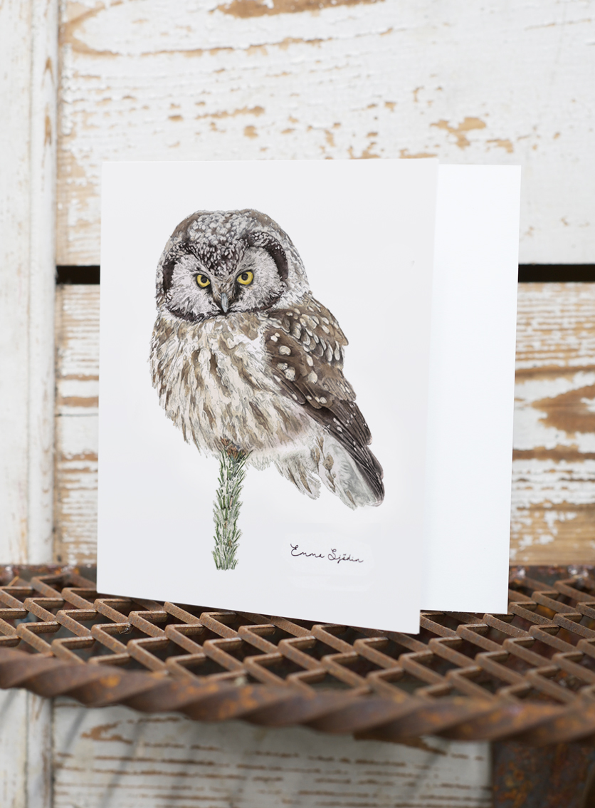 FOLDED CARD WITH ENVELOPE OWL - 2
