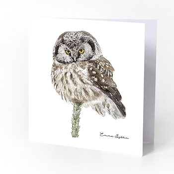FOLDED CARD WITH ENVELOPE OWL