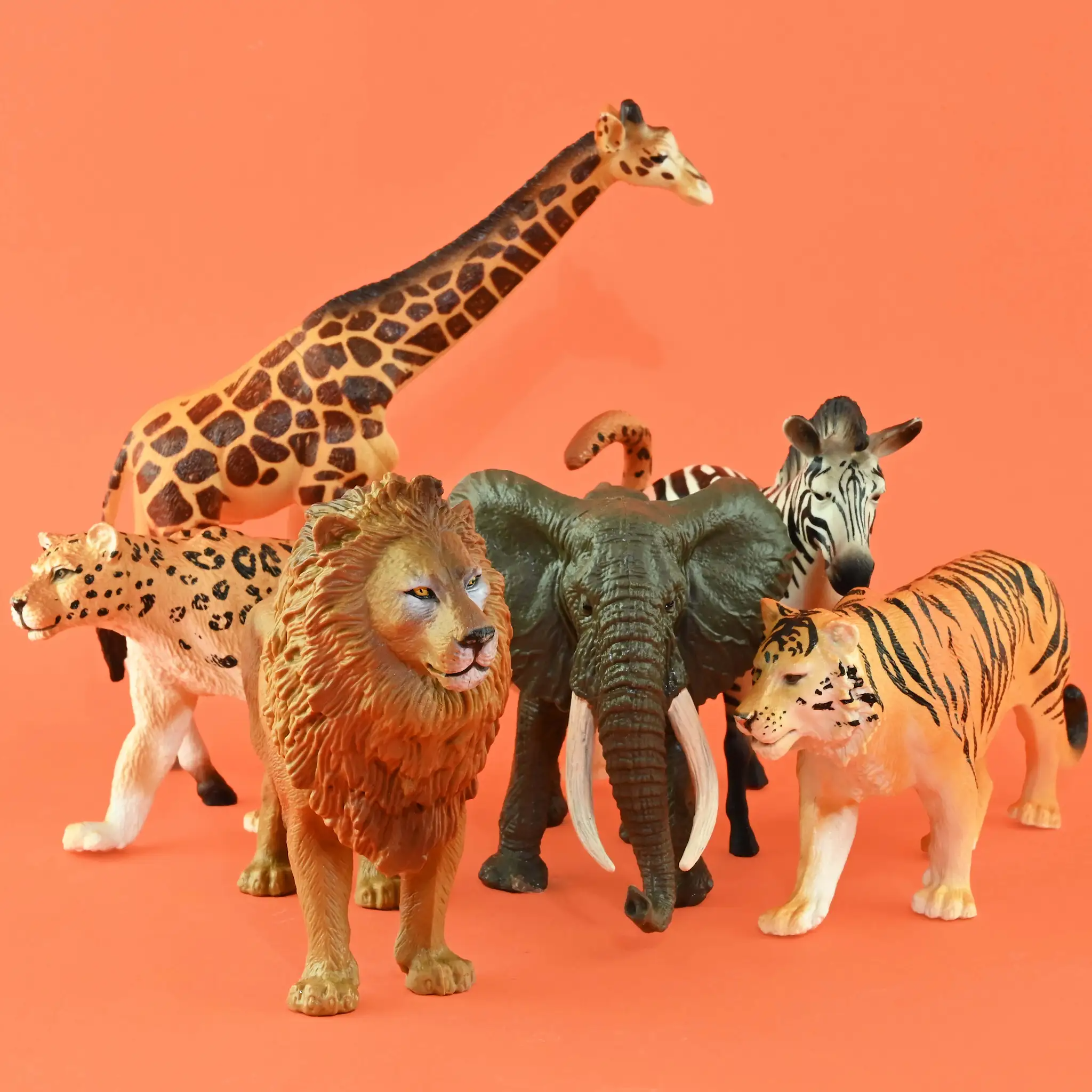 Wild Animal, 1 st  - Robetoy - 2