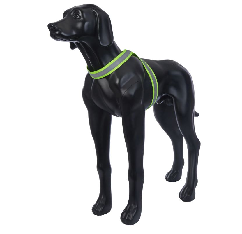Rukka Pets Note Body Band Reflective Band Dog - Neon Yellow - Adjustable