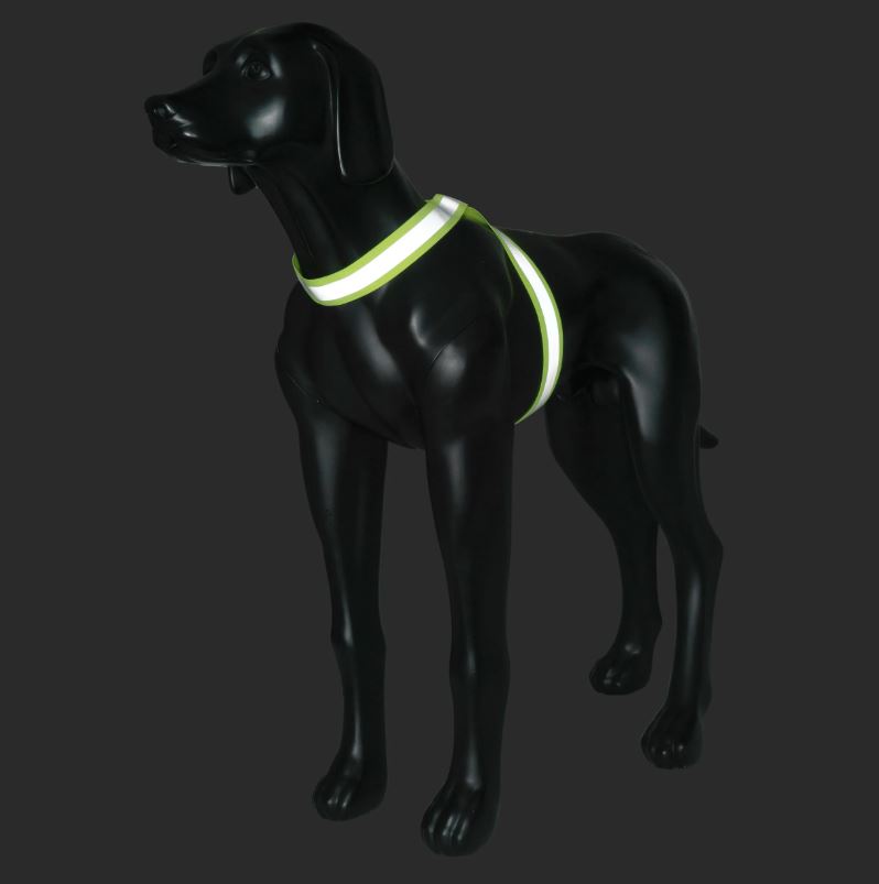 Rukka Pets Note Body Band Reflective Band Dog - Neon Yellow - Elastic