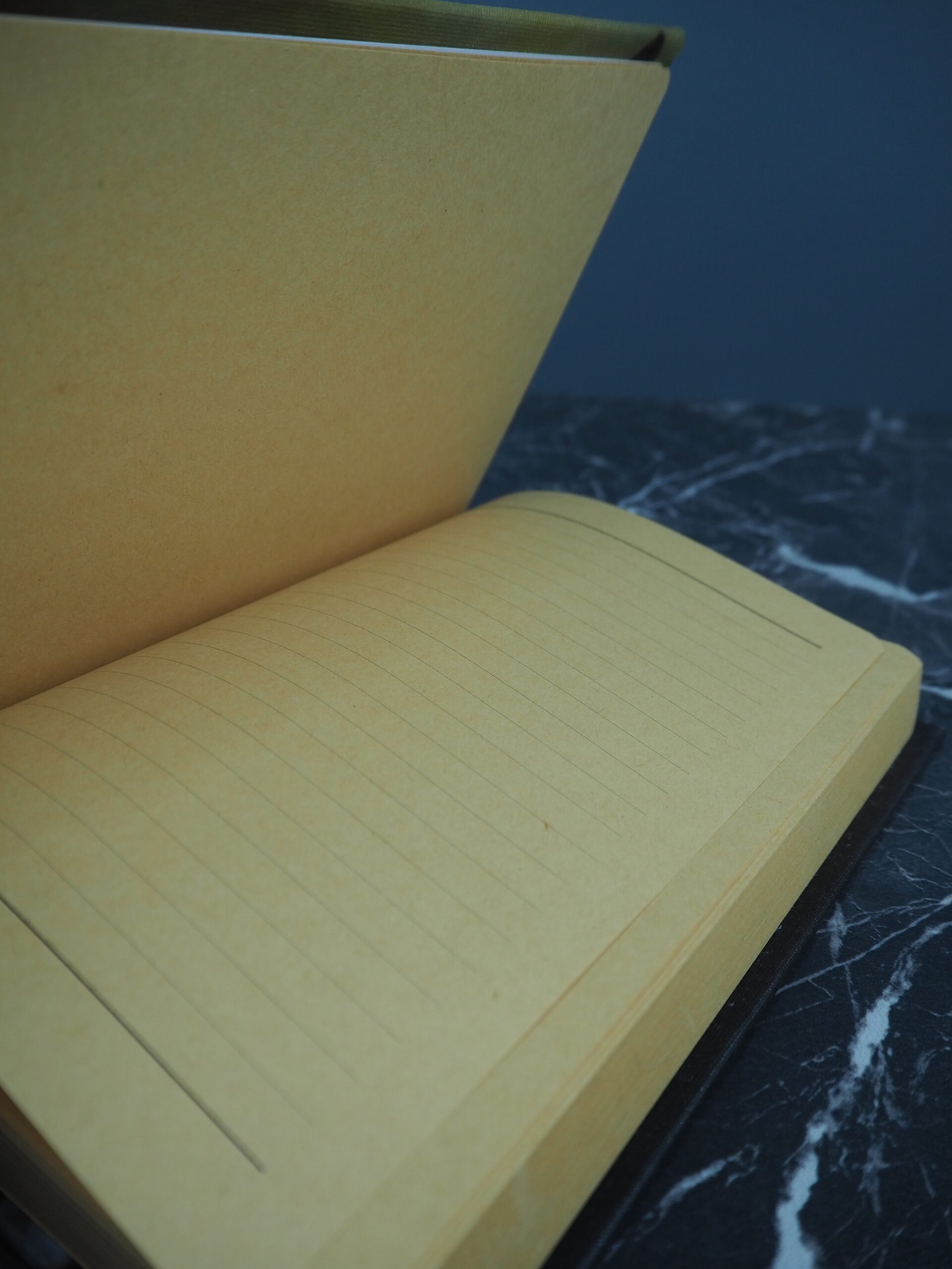 Note book rabbit - 2