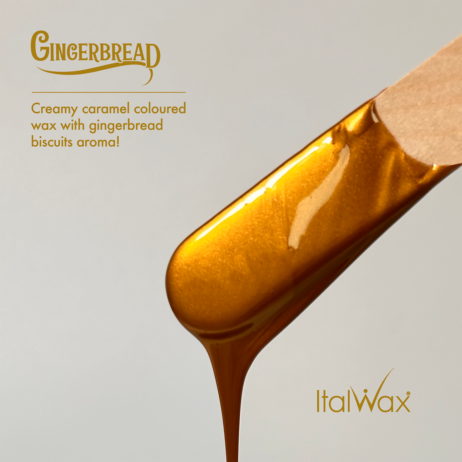 GINGER BREAD - ITALWAX 500 - 3