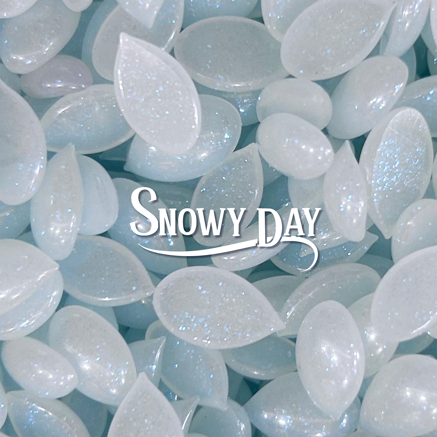 SNOWY DAY - ITALWAX 500 - 2