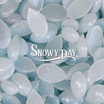 SNOWY DAY - ITALWAX 500