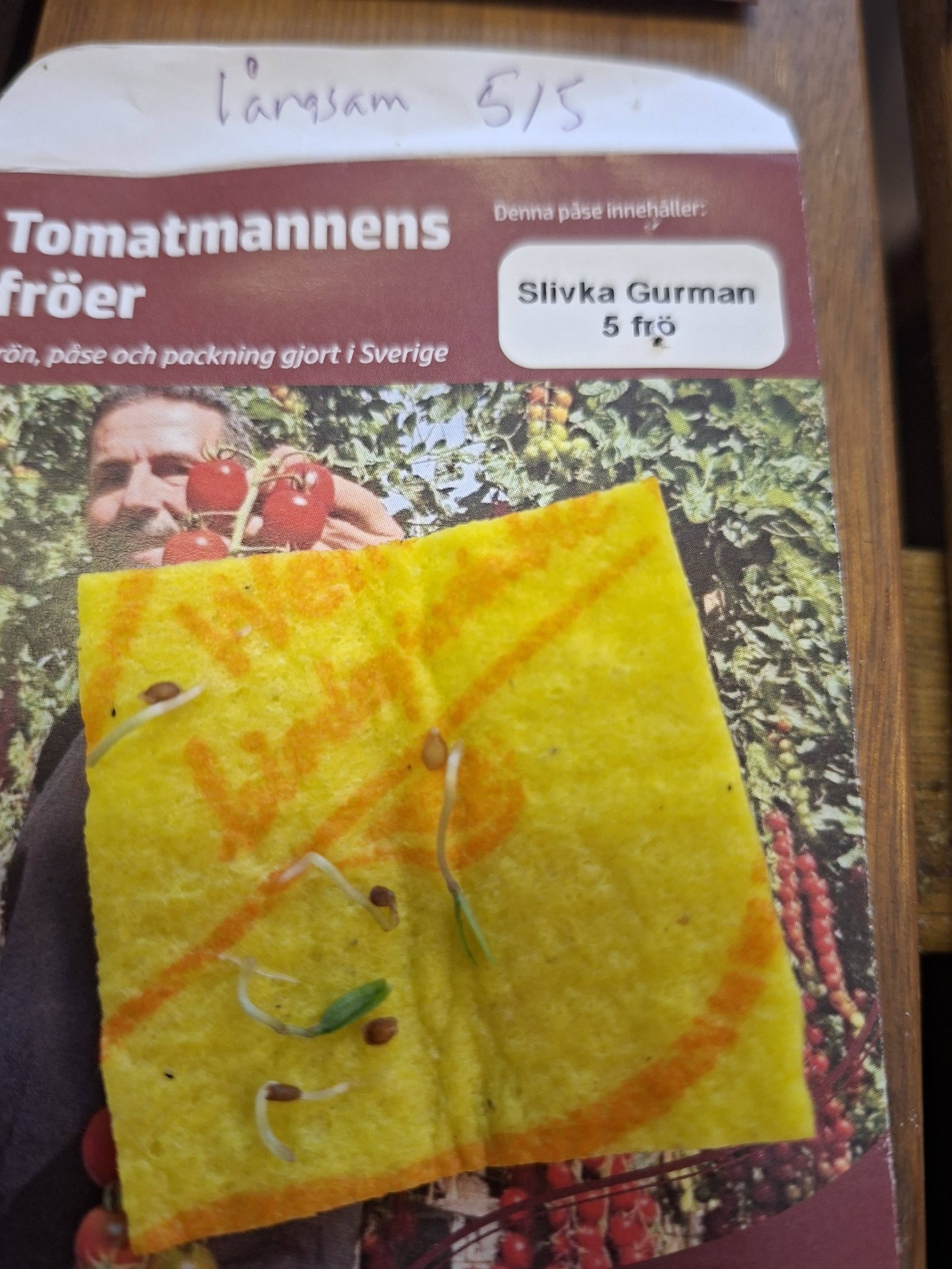 Tomatmannens Tomat Slivka Gurman, 5 frö Nyhet 2026! Slut för säsong - 4