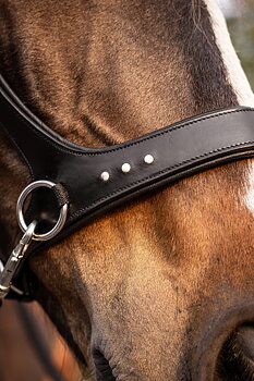 Anatomiskt sidepull med tyglar - F.R.A® 'Glory' 