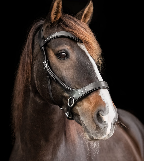 Sidepull, anatomical F.R.A® 'Glory' (incl reins)