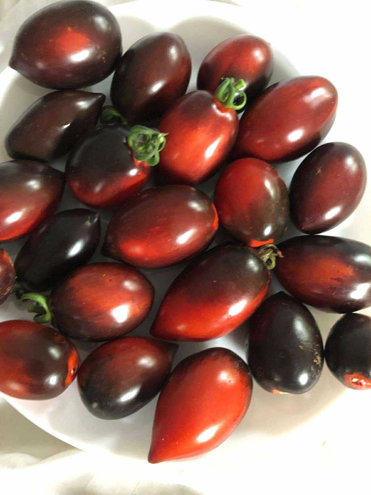 Tomatmannens Tomat Midnight Roma, 5 frö Nyhet 2026!