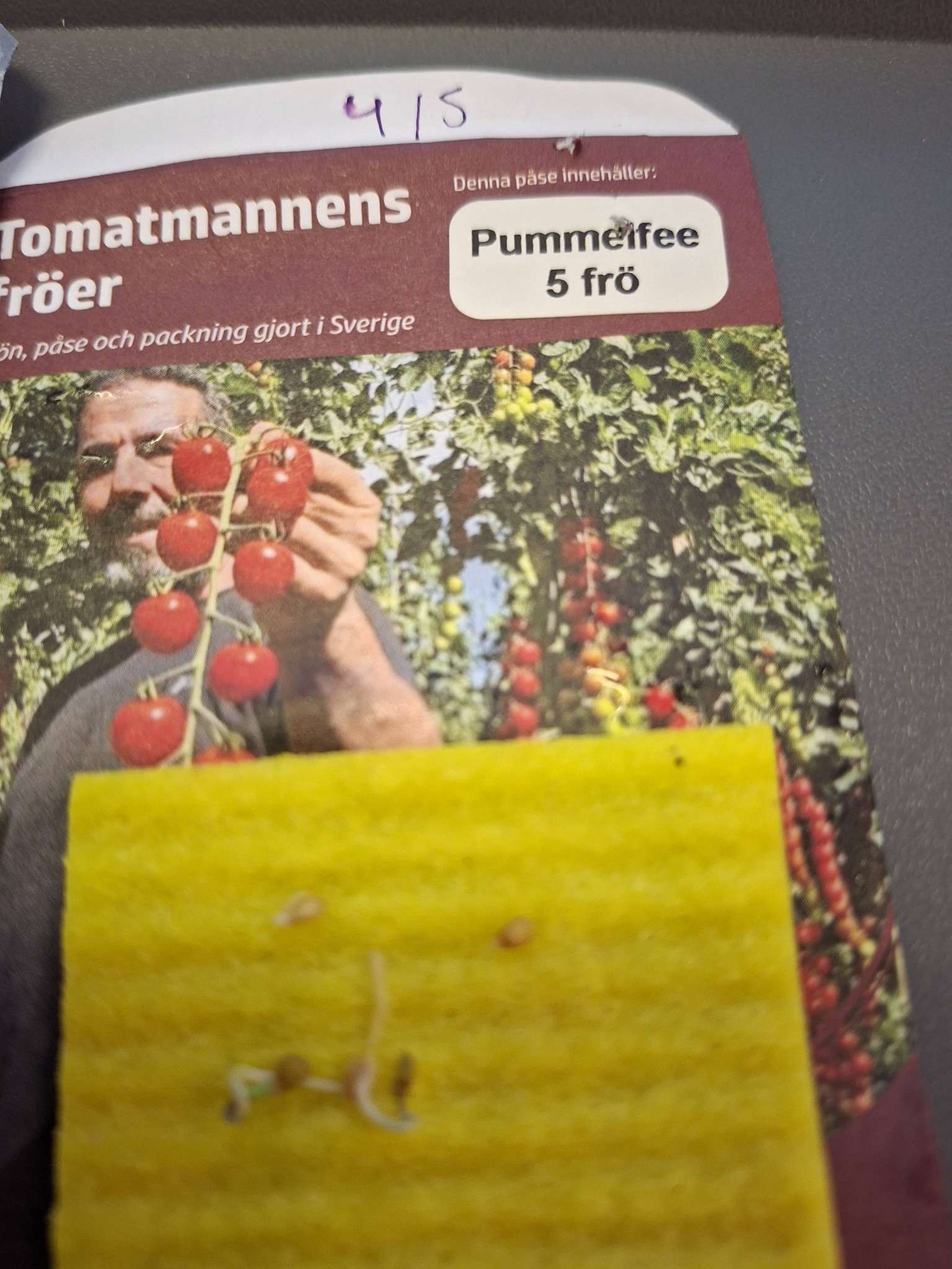 Tomatmannens Tomat Pummelfee,busktomat 5 frö Nyhet 2026! - 2