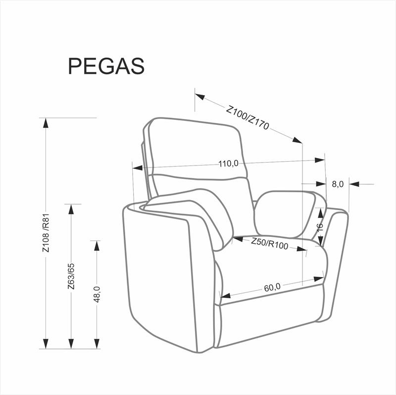 Pegas - 17