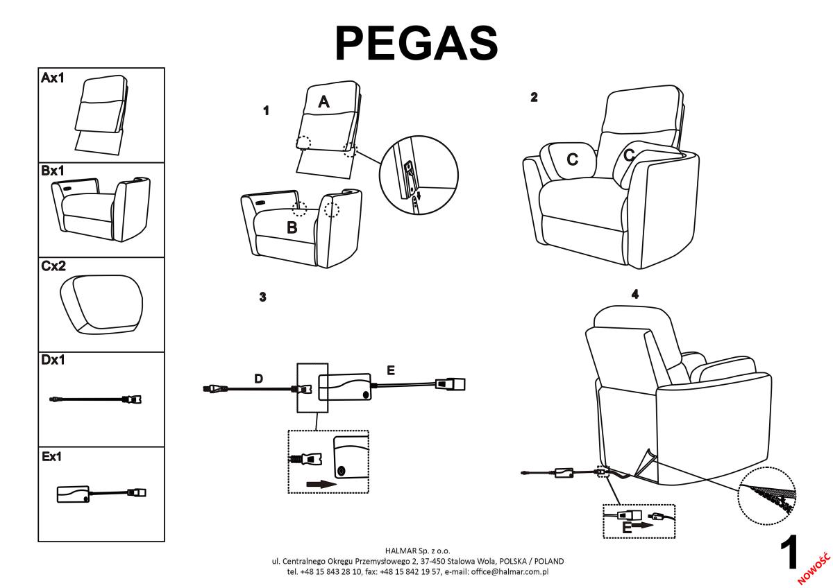 Pegas - 18