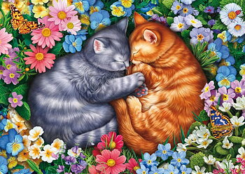 Sleepnig Velvet Paws, 1000 Bitar Schmidt