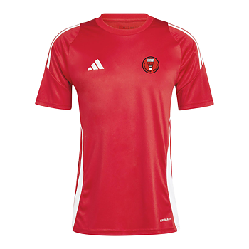 Adidas Tiro24 Jsy Jr (BMK Stinget)